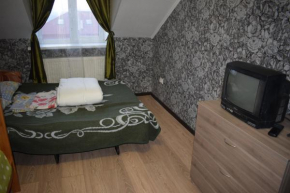 Apartment on Sovetskaya ulitsa